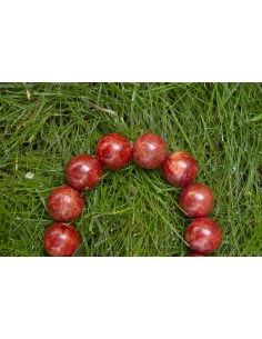 Náramek — Červený korál 2