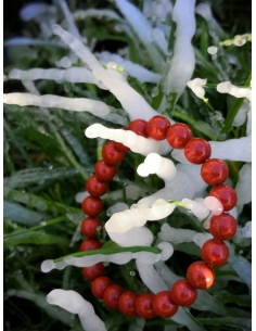 náramek Červený jaspis 2