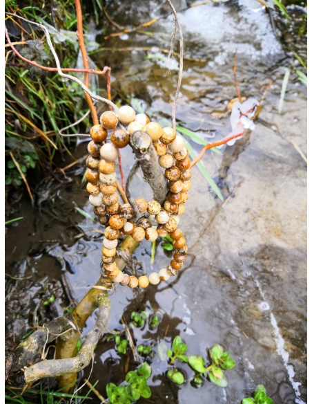 Jaspis obrazový - náramek