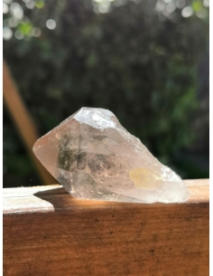 Záhněda léčebný hrot