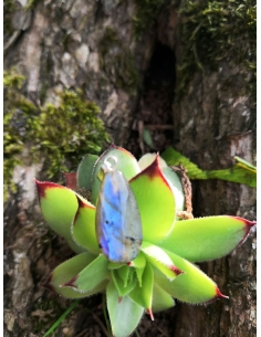 Labradorit - přívěsek 2