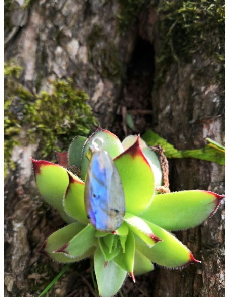 Labradorit - přívěsek