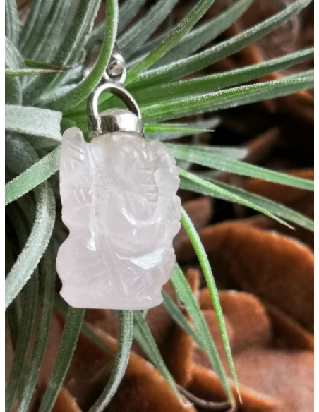 Růženín Ganesha