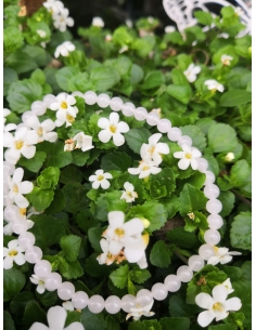 Náramek růženín 2