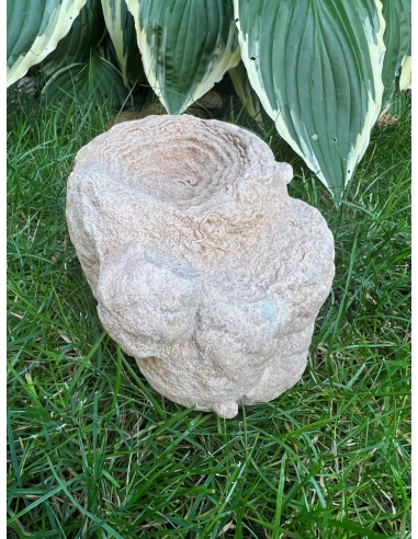 Stromatolit