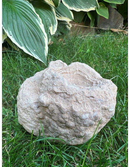 Stromatolit