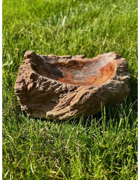 Zkamenělé dřevo - mísa