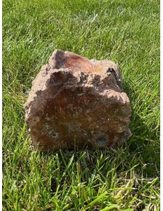 Zkamenělé dřevo - mísa 2