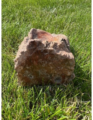 Zkamenělé dřevo - mísa