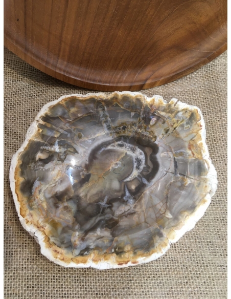 Zkamenělé dřevo - mísa