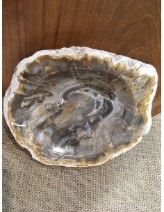 Zkamenělé dřevo - mísa 2