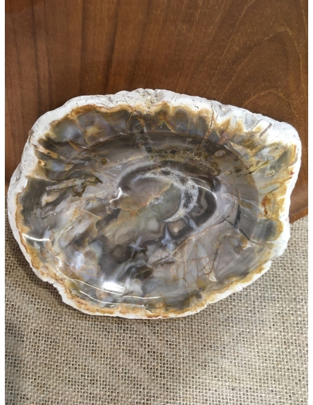 Zkamenělé dřevo - mísa