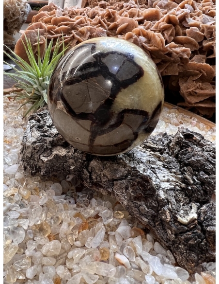 Septárie - koule ( 401 g )