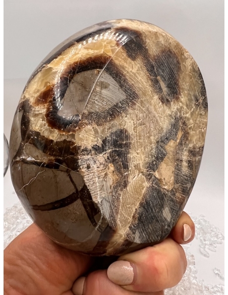 Septárie  miska Madagaskar ( 1100 g )