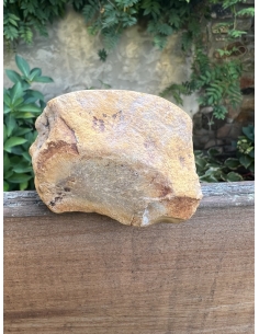 Jaspis pestrý -  polobrus 2