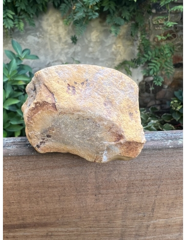 Jaspis pestrý -  polobrus