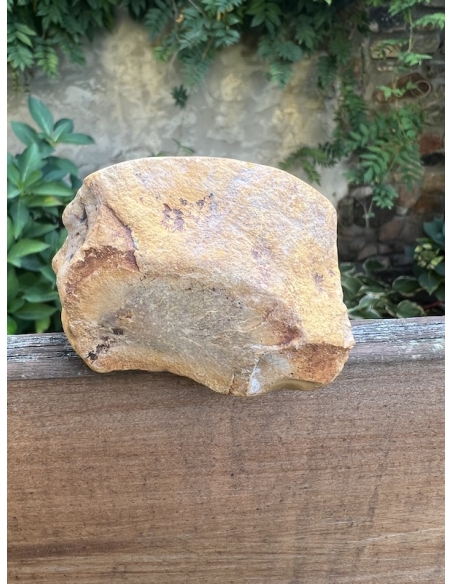 Jaspis pestrý -  polobrus