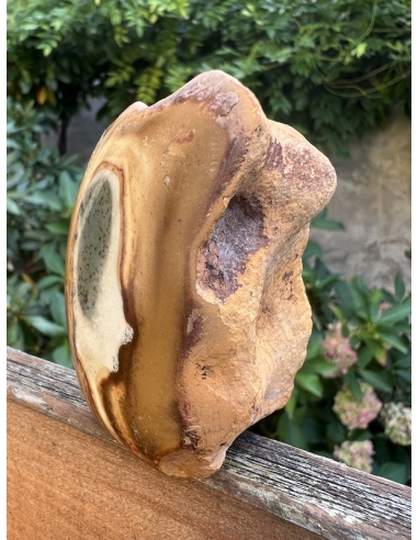 Jaspis pestrý -  polobrus