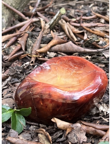 Karneol  miska 710 g