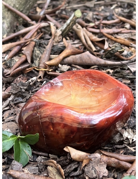 Karneol  miska 710 g