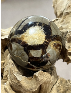 Septárie - valounek ( 105 g )