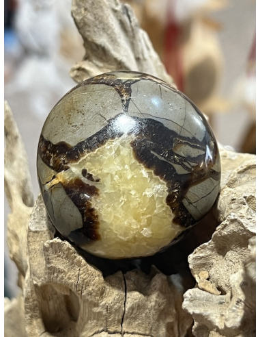 Septárie - valounek ( 105 g )