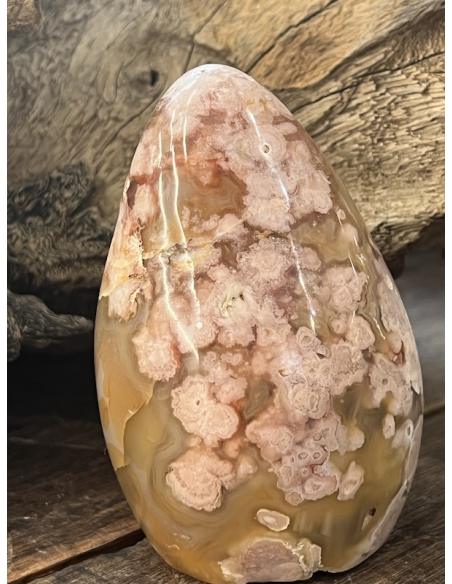 Achát  kytičkový  ( 478 g )