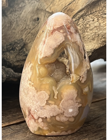 Achát  kytičkový  ( 478 g )