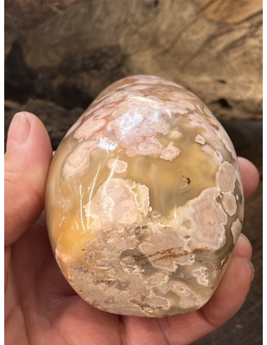 Achát  kytičkový  ( 478 g )