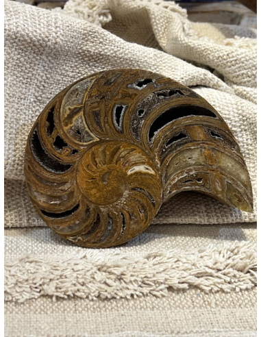 Amonit - Madagaskar ( 342 g )