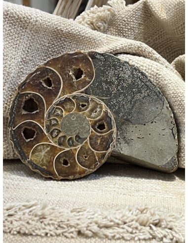 Amonit - Madagaskar ( 397 g )