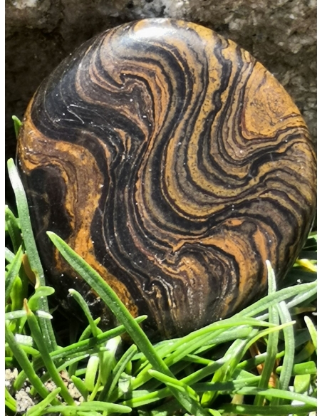Stromatolit